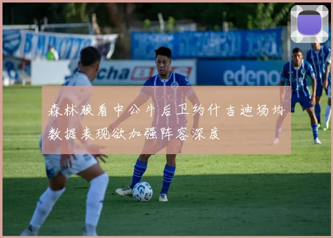 森林狼看中公牛后卫约什吉迪场均数据表现欲加强阵容深度