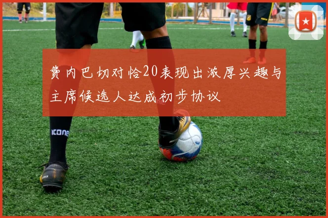 费内巴切对恰20表现出浓厚兴趣与主席候选人达成初步协议