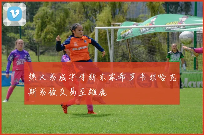 热火或成字母新东家希罗韦尔哈克斯或被交易至雄鹿