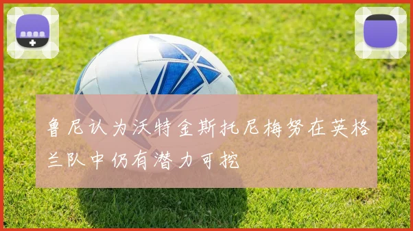 鲁尼认为沃特金斯托尼梅努在英格兰队中仍有潜力可挖